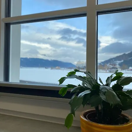 Hoeflehner - Sommercard